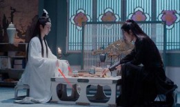 蓝氏叔父爆料视频大全在线观看,揭秘幕后真相，带你走进神秘世界